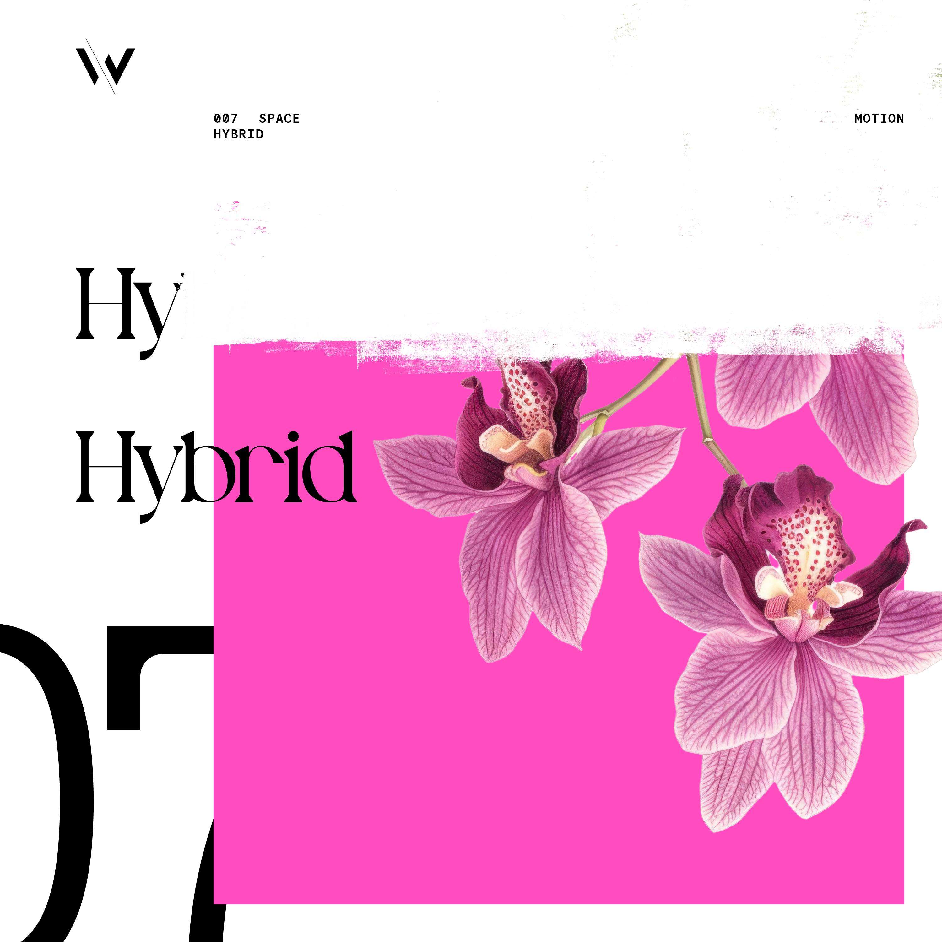 Hybrid EP